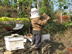 Apiculture