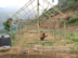 Construction du tunnel à tomates.