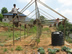Construction du tunnel à tomates.
